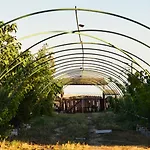 La Colibe, Catun Arhaic Ecologic * Constanţa