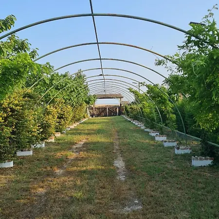 Кемпинг La Colibe, Catun Arhaic Ecologic *