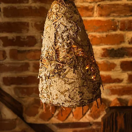 La Colibe, Catun Arhaic Ecologic キャンプ場 コルブ